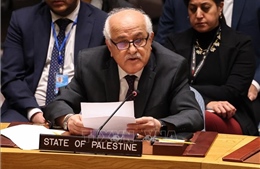 HĐBA xem xét kết nạp Palestine làm thành viên chính thức của Liên hợp quốc