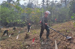 Việt Nam được tín nhiệm trong hoạt động giảm thiểu rủi ro từ bom mìn