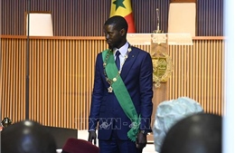 Điện mừng nhân dịp Ngài Bassirou Diomaye Faye nhậm chức Tổng thống nước Cộng hòa Senegal