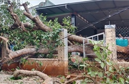 Bình Phước: Mưa lớn kèm theo dông lốc làm tốc mái nhà dân, sập tường rào trường học
