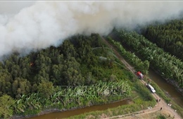 Cháy rừng tại Nông trường 402: Có dấu hiệu lan sang khu vực 100 ha liền kề