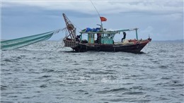 Ban hành Nghị định quy định xử phạt vi phạm hành chính trong lĩnh vực thủy sản