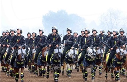 Cảnh sát cơ động Kỵ binh từng ngày chuyên nghiệp hoá, hiện đại hoá