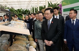 Chủ tịch Quốc hội thăm một số mô hình kinh tế tiêu biểu của tỉnh Vân Nam, Trung Quốc