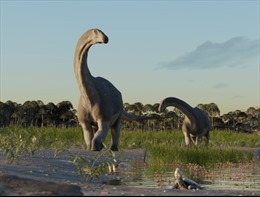 Phát hiện hóa thạch khủng long khổng lồ mới tại Argentina