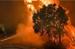Cháy rừng dữ dội ở miền Đông Tây Ban Nha