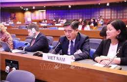 Việt Nam cam kết thúc đẩy hoàn thành Các mục tiêu phát triển bền vững