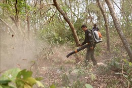 An Giang phân công lực lượng ứng trực 24/24 giờ để phòng, chống cháy rừng
