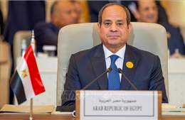 Ai Cập nhấn mạnh sự cần thiết phải thực thi giải pháp hai nhà nước