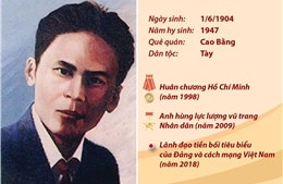 Đồng chí Hoàng Đình Giong: Lãnh đạo tiền bối tiêu biểu của Đảng và cách mạng Việt Nam