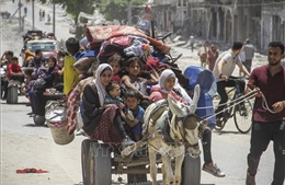 Jordan, Ai Cập và Liên hợp quốc đồng tổ chức hội nghị khẩn cấp về Gaza