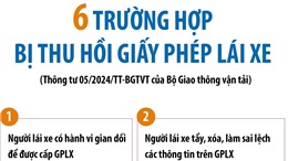 6 trường hợp bị thu hồi giấy phép lái xe từ 1/6