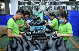 Tạo cầu nối giữa doanh nghiệp Việt với nhà đầu tư nước ngoài