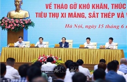 Thủ tướng: Phát triển hạ tầng, tháo gỡ khó khăn cho sản xuất, tiêu thụ vật liệu xây dựng