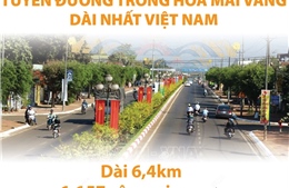 Tuyến đường trồng hoa mai vàng dài nhất Việt Nam