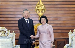 Chủ tịch nước Tô Lâm hội kiến Chủ tịch Quốc hội Campuchia