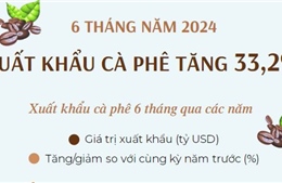 6 tháng năm 2024 xuất khẩu cà phê tăng 33,2%