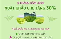 6 tháng năm 2024 xuất khẩu chè tăng 30%