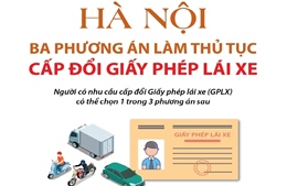 Hà Nội: Ba phương án làm thủ tục cấp đổi Giấy phép lái xe