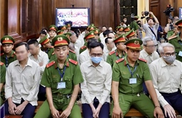 Vụ án liên quan đến Cục Đăng kiểm Việt Nam: Truy tố 254 bị cáo, xét xử về tổng cộng 11 tội danh