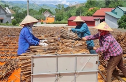 Nhiều dư địa trong hợp tác thương mại Việt Nam - Ấn Độ