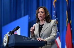 Bà Kamala Harris ráo riết chọn người liên danh tranh cử