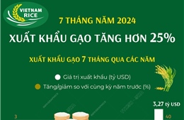 7 tháng năm 2024, xuất khẩu gạo tăng hơn 25%