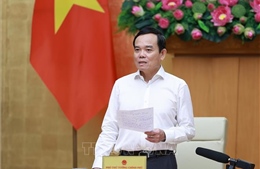 Phối hợp phòng, chống buôn lậu, gian lận thương mại và hàng giả trong bối cảnh thương mại điện tử phát triển