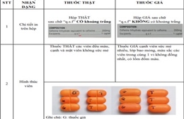 Phát hiện thuốc kháng sinh Cefixim 200 giả tại Thừa Thiên - Huế