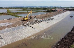 Tăng cường công tác tuần tra canh gác, đảm bảo an toàn đê điều