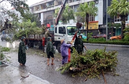 Hạ Long: Phát động chiến dịch cao điểm khắc phục hậu quả bão số 3