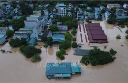 Người dân vùng bão lũ không sử dụng gia súc, gia cầm chết chế biến thực phẩm
