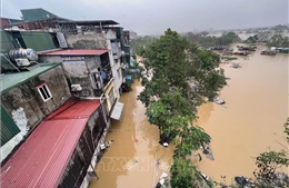 Khẩn trương chống lũ tại các xã ven sông Tích, sông Đáy ở huyện Quốc Oai (Hà Nội)