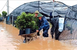 Huy động tổng lực phòng, chống mưa lũ