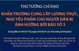 Thủ tướng chỉ đạo khẩn trương cung cấp lương thực, nhu yếu phẩm cho người dân bị ảnh hưởng bởi bão số 3