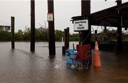 Mỹ: Bão Francine tàn phá Louisiana, hàng trăm nghìn người mất điện