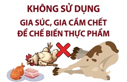 Khuyến cáo người dân vùng bão lũ không sử dụng gia súc, gia cầm chết chế biến thực phẩm