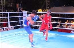 Bế mạc Giải vô địch Boxing toàn quốc năm 2024