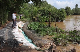 Sạt lở bờ sông vùng đầu nguồn sông Tiền ngày càng nghiêm trọng