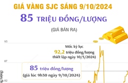 Vàng SJC sáng 9/10/2024 có giá 85 triệu đồng/lượng