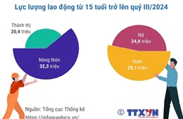 Quý III/2024: Lực lượng lao động tiếp tục tăng