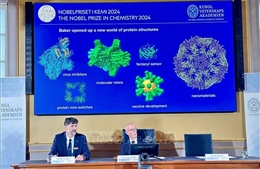 Nobel 2024: Các protein nhân tạo - Chìa khóa cho tương lai