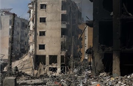 Mỹ yêu cầu Israel tránh đẩy Liban vào tình thế tương tự Dải Gaza