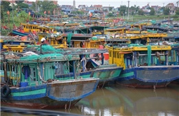 Nam Định không có tàu cá hay thuyền viên vi phạm khai thác vùng biển nước ngoài