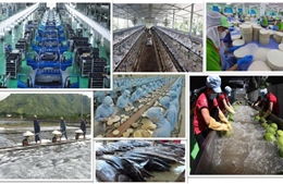 Xung lực mới cho kinh tế tư nhân