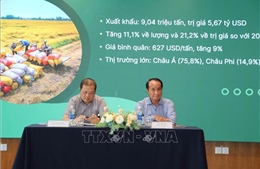 Kịp thời triển khai chiến lược về xuất khẩu gạo đến năm 2030