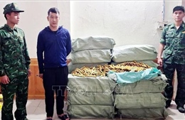Liên tiếp phát hiện các vụ vận chuyển thực phẩm không rõ nguồn gốc