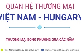 Thương mại song phương Việt Nam - Hungary