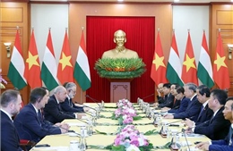 Tổng Bí thư Tô Lâm hội kiến Tổng thống Hungary Sulyok Tamás