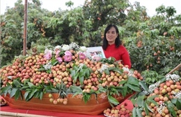 Triển khai các biện pháp bảo đảm sản xuất, chế biến, tiêu thụ và xuất khẩu nông sản